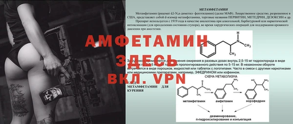 ПСИЛОЦИБИНОВЫЕ ГРИБЫ Балабаново
